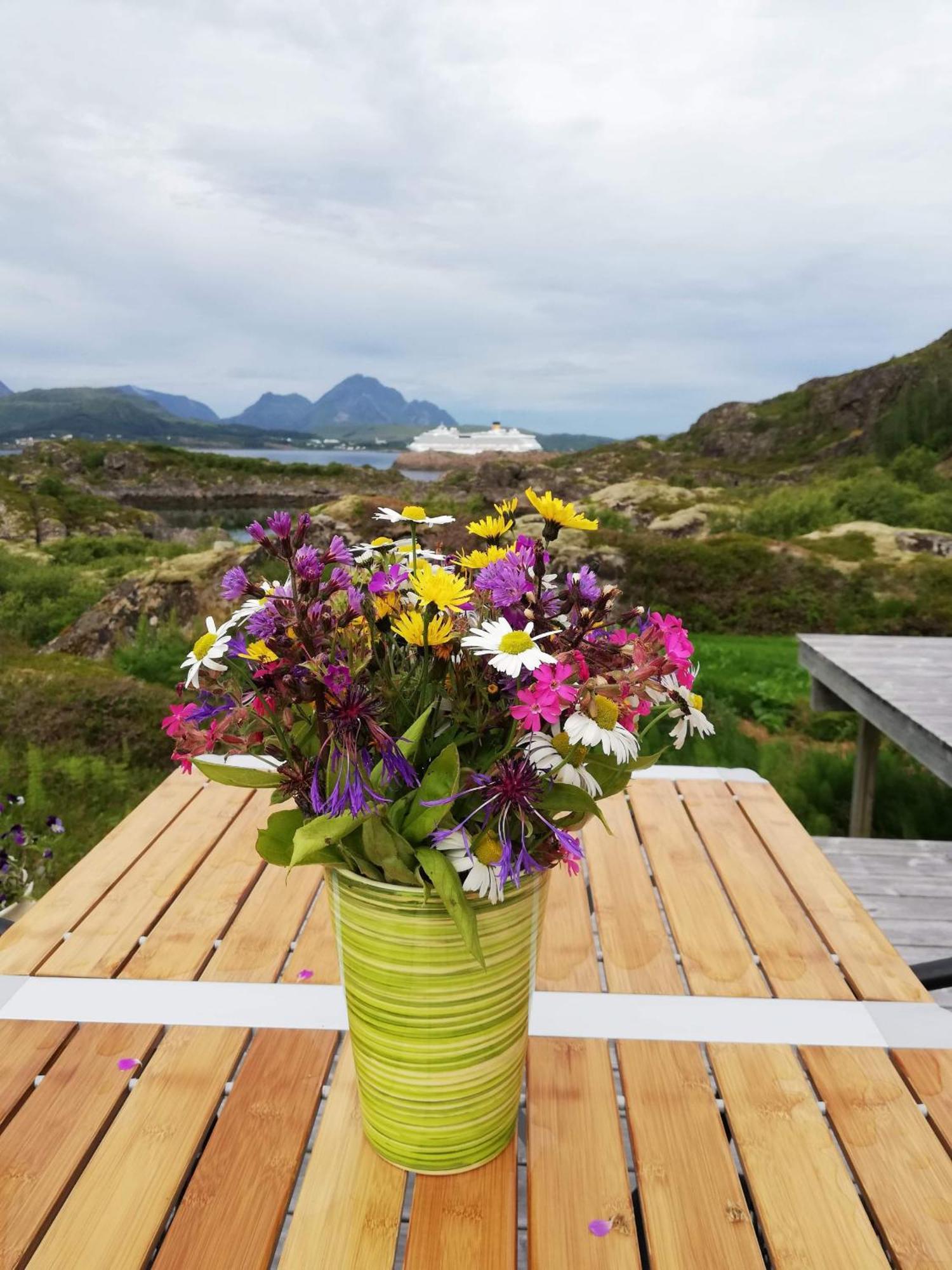 Unique Private Cabin In Lofoten Лекнес Екстер'єр фото
