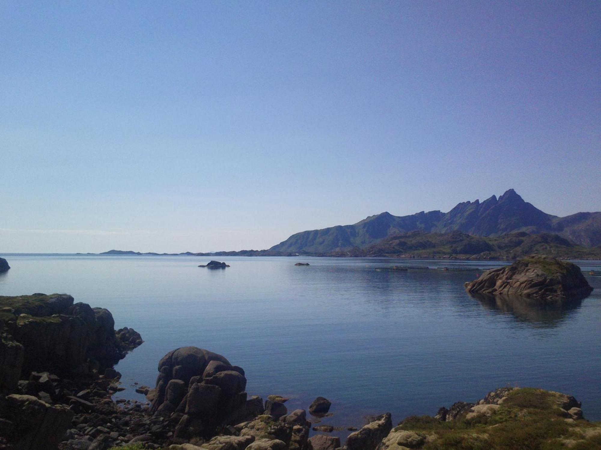Unique Private Cabin In Lofoten Лекнес Екстер'єр фото